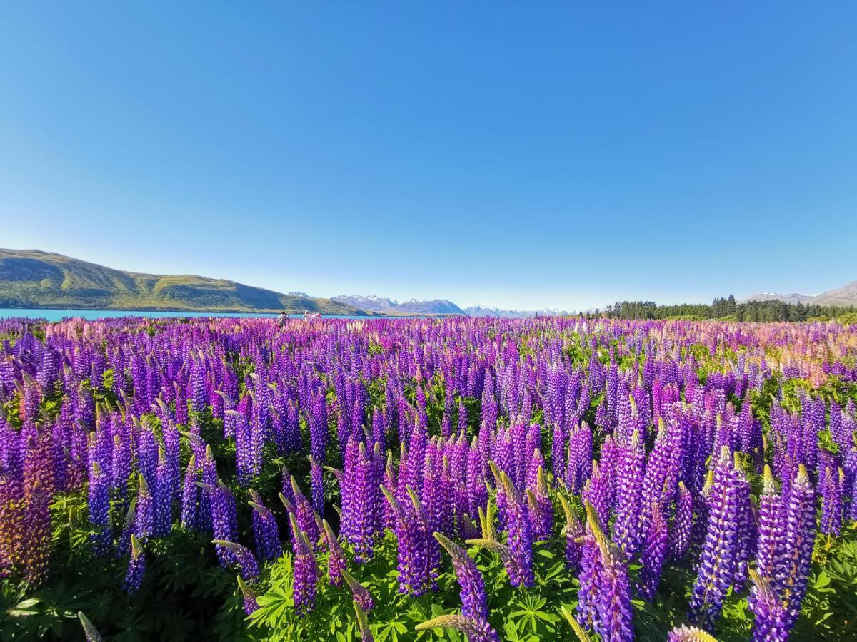 Skyrim Lodge Lake Tekapo Luaran gambar